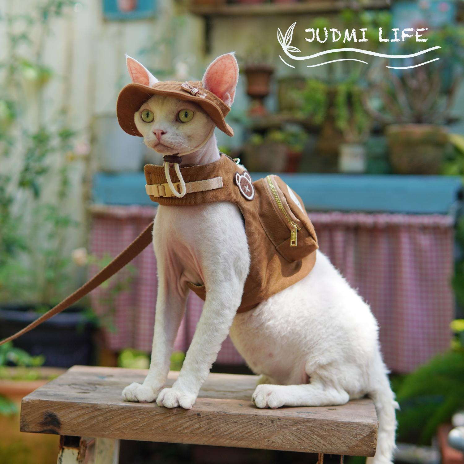 Luxury Travel Devon Cat Carrie - Luxury Bags Cute บทวิจารณ์และราคา